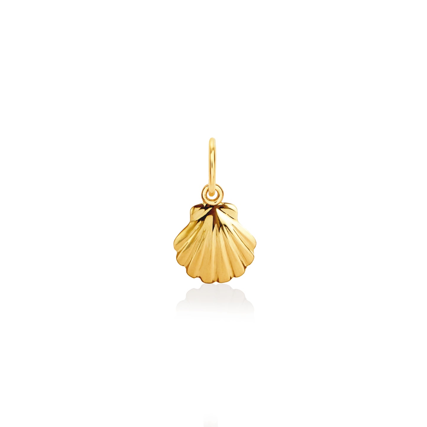 Seashell charm
