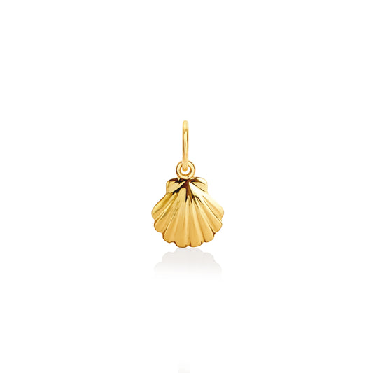 Seashell charm