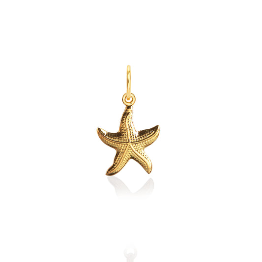 Summer star charm