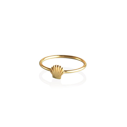 Seashell ring